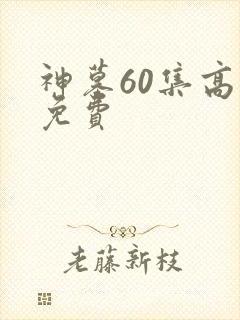 神墓60集高清免费