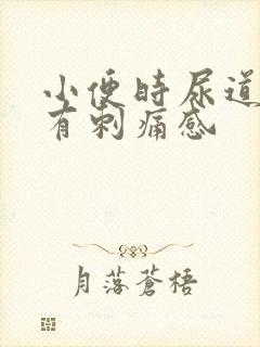 小便时尿道口口有刺痛感