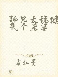 师兄太稳健主角几个老婆封面