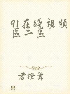 91在线视频一区二区