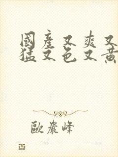 国产又爽又粗又猛又色又黄网站.