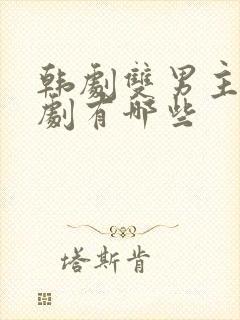 韩剧双男主电视剧有哪些