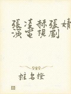 张凌赫张婧仪主演电视剧