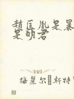 赵匡胤是暴君还是明君