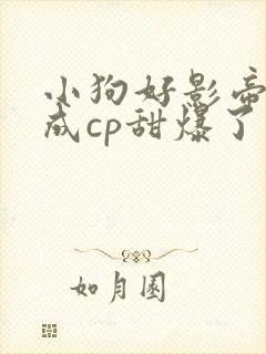 小狗好影帝爱变成cp甜爆了小说免费阅读