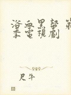 浴血黑帮 第六季电视剧