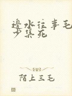 边水往事毛攀多少集死