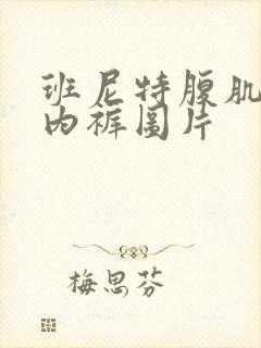 班尼特腹肌三角内裤图片封面