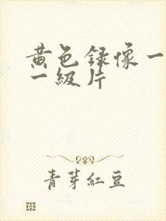 黄色录像一级片一级片