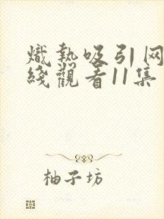 炽热吸引网剧在线观看11集