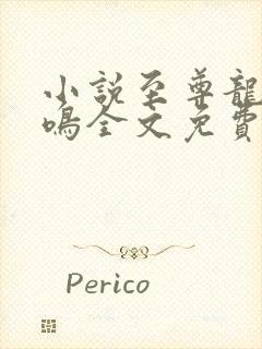 小说至尊龙帝陆鸣全文免费阅读