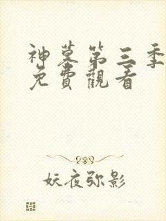 神墓第三季年番免费观看