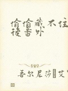 偷偷藏不住 婚后番外