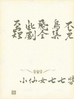 至此飞鸟不相逢短剧全集免费观看