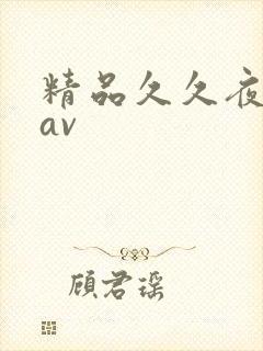 精品久久夜夜骚av