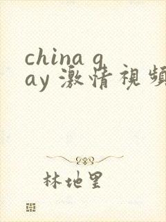 china gay 激情视频封面