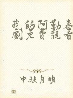 我的阿勒泰电视剧免费观看