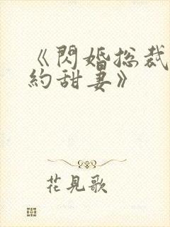 《闪婚总裁的契约甜妻》