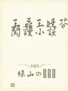 王磊王晓芬免费阅读小说封面