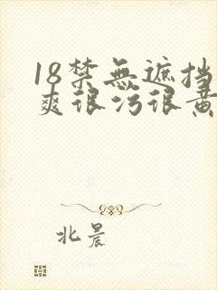 18禁无遮挡很爽很污很黄