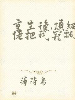 重生后,顶级大佬把我宠飘了