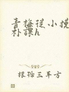 青梅从小摸到大补课h封面