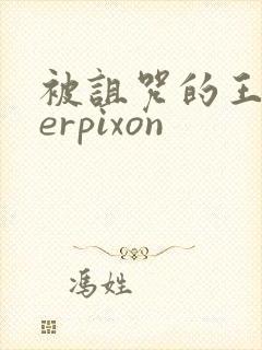 被诅咒的王子derpixon