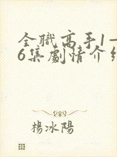 全职高手1—36集剧情介绍封面