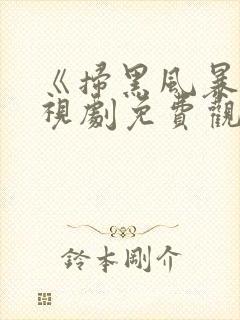 《扫黑风暴》电视剧免费观看完整版