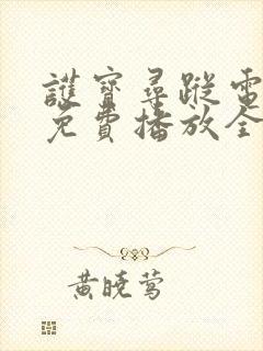 护宝寻踪电视剧免费播放全集下载