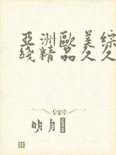 亚洲欧美综合在线精品久久