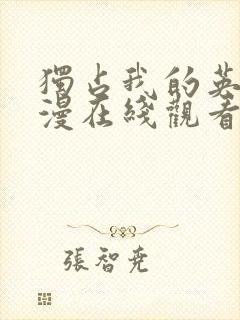 独占我的英雄动漫在线观看封面