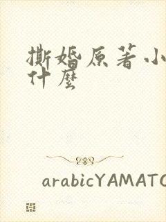 撕婚原著小说叫什么