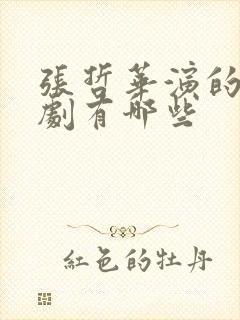 张哲华演的电视剧有哪些