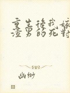 重生后我嫁给了渣男的死对头 无弹窗