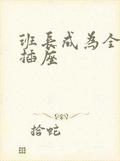 班长成为全班的插座封面