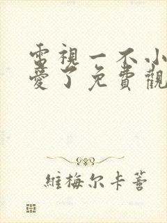 电视一不小心恋爱了免费观看