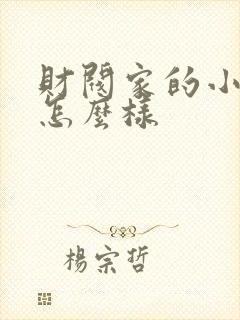 财阀家的小儿子怎么样封面