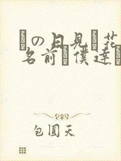 あの日见た花の名前を仆达はまだ知らない封面