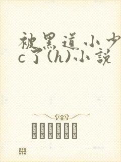 被黑道小少爷爆c了(h)小说封面