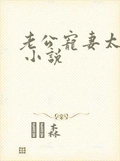 老公宠妻太甜蜜 小说