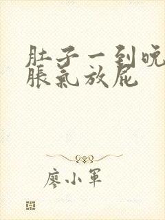 肚子一到晚上就胀气放屁