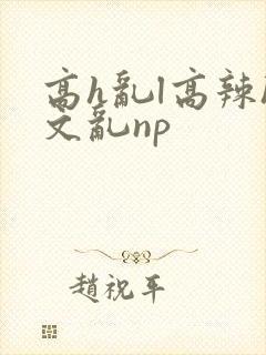 高h乱l高辣h文乱np