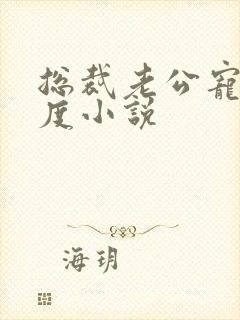 总裁老公宠妻无度小说封面