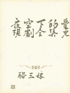 夜空下的爱恋电视剧全集免费观看封面