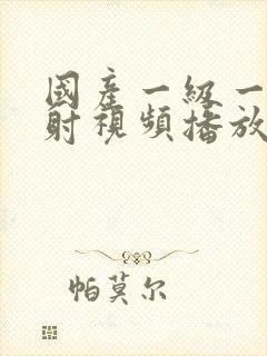 国产一级一片内射视频播放