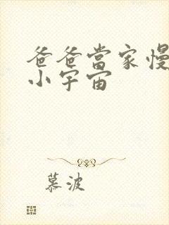 爸爸当家慢享季小宇宙封面