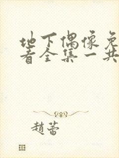 地下偶像免费观看全集一共多少集