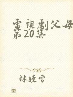 电视剧父母爱情第20集