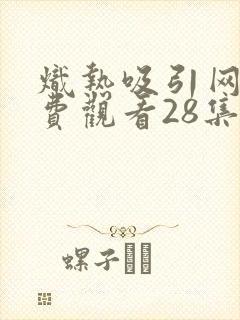 炽热吸引网剧免费观看28集